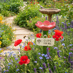 Insektentränke für den Garten – mit Landesteinen – Bild 12