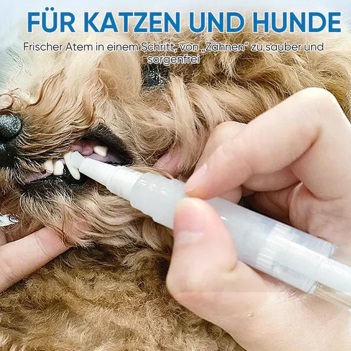 Zahnbürste für Hund und Katze – dreiseitiger Kopf – Bild 4