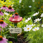 Insektentränke für den Garten – mit Landesteinen – Bild 2