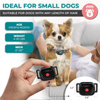 Erziehungshalsband für kleine Hunde – mit Ton und Vibration – Bild 2