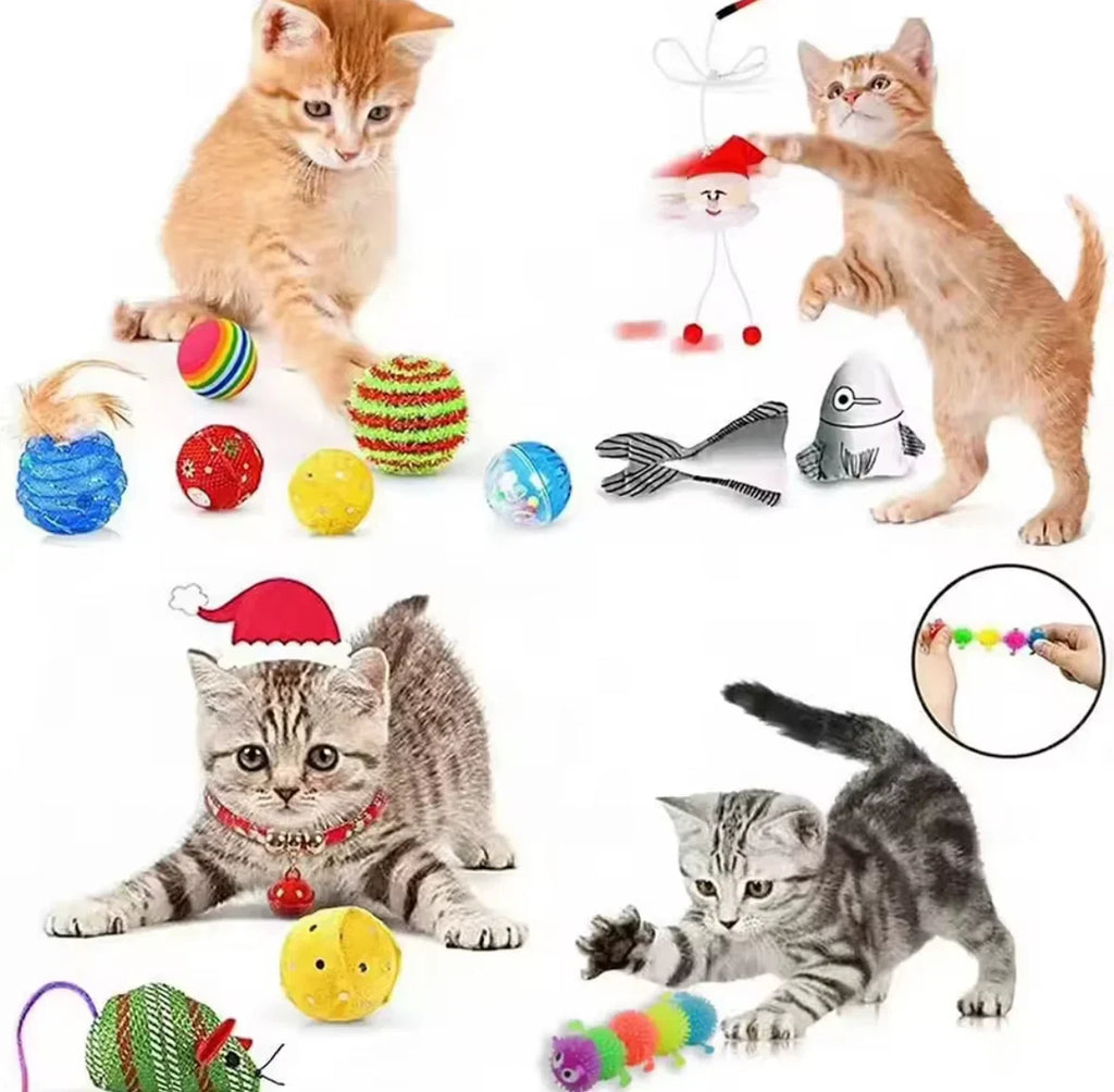Adventskalender für Haustiere – 24 tägliche Überraschungen – Bild 2