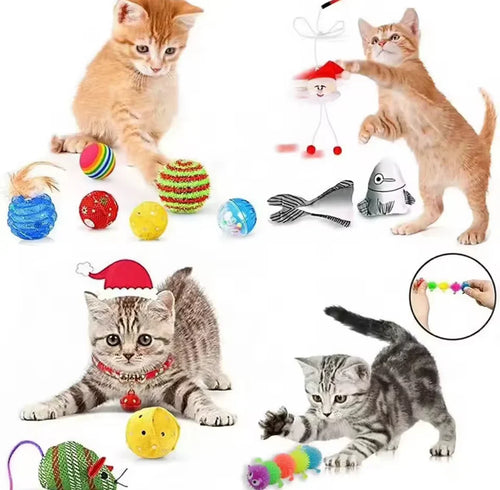 Adventskalender für Haustiere – 24 tägliche Überraschungen – Bild 2