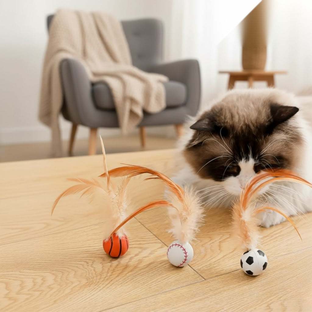Katzenspielzeug mit Federn und Sprungball – ohne Batterien