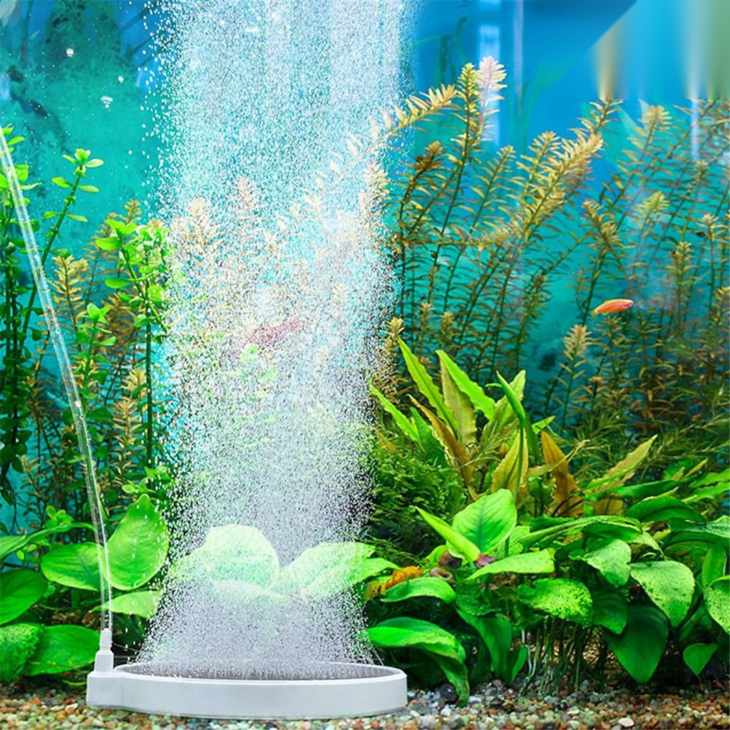 Ausströmerstein für das Aquarium – feine Blasen, leiser Betrieb